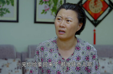 乡村爱情进行曲(下)剧照