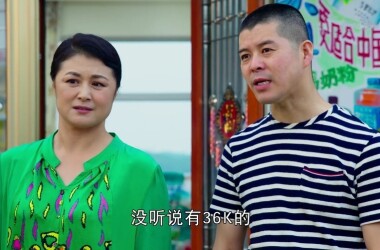 乡村爱情进行曲(下)剧照