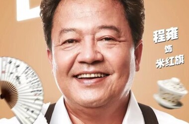 我不是精英剧照