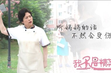 我不是精英剧照