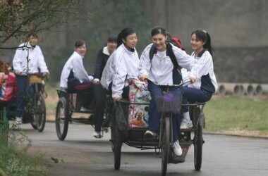 排球女将剧照