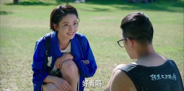 鳄鱼与牙签鸟第3集剧照
