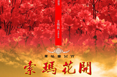 索玛花开剧照